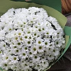 
											Букет хризантем 