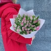 
											Монобукет 49 тюльпанов