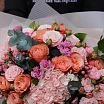 
											Карнавал 