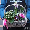 
											Цветочная композиция с натуральным медом №3