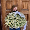 
											На ромашковом поле