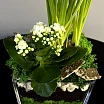 
											Каланхое и мускари в стеклянное вазе