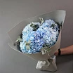 
											Монобукет 5 голубых гортензий