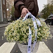 
											На ромашковом поле