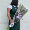 
											Букет 5 лавандовых гладиолусов