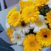 
											Дуобукет из гермини