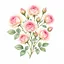 Французские розы